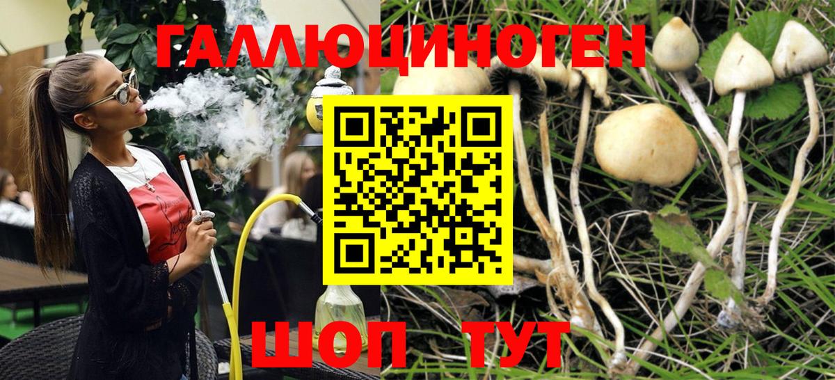 Псилоцибиновые грибы GOLDEN TEACHER Малоярославец