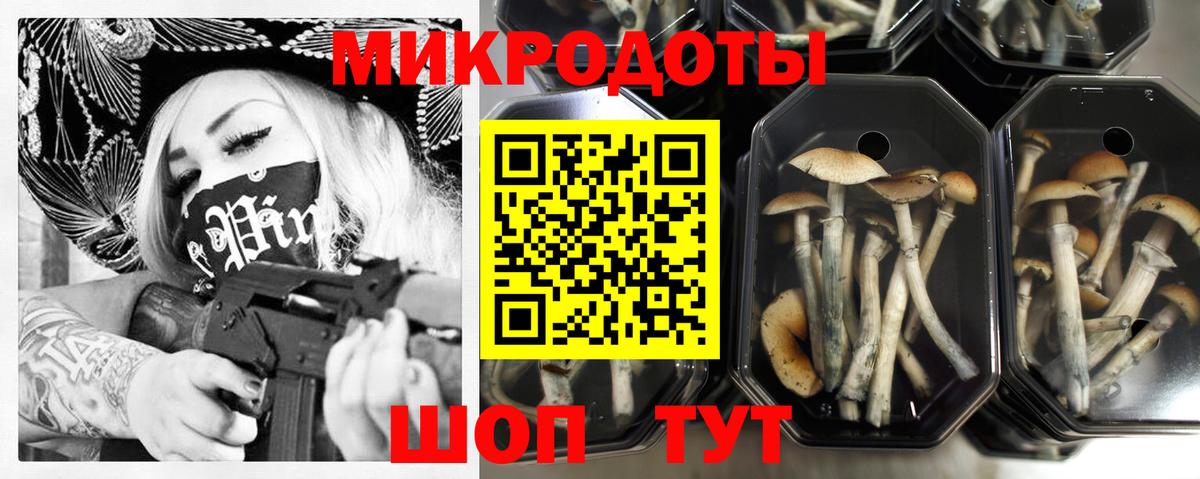 Малоярославец  Псилоцибиновые грибы Psilocybe  Галлюциногенные грибы Magic Shrooms  Вход с VPN 